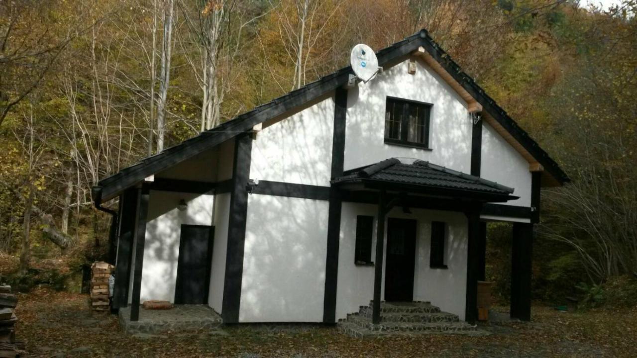 Cabana Crenguta Nagyszeben Kültér fotó