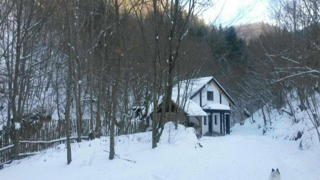 Cabana Crenguta Nagyszeben Kültér fotó