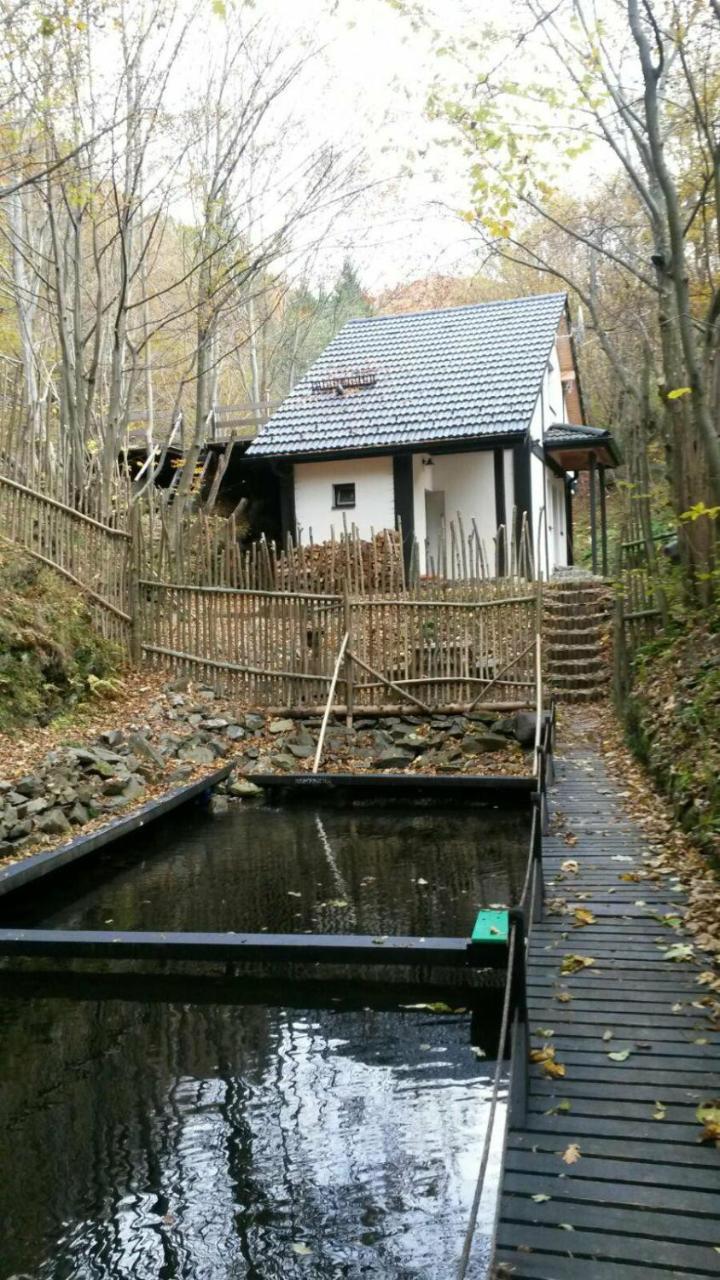Cabana Crenguta Nagyszeben Kültér fotó