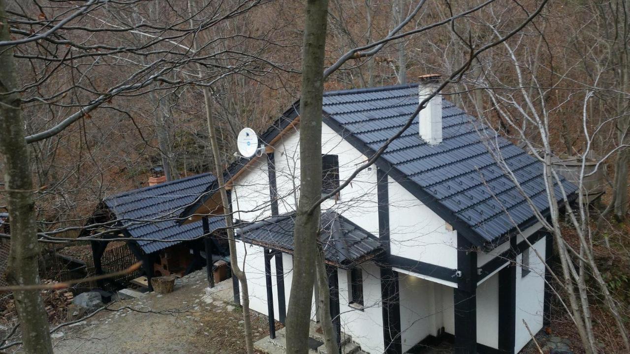 Cabana Crenguta Nagyszeben Kültér fotó